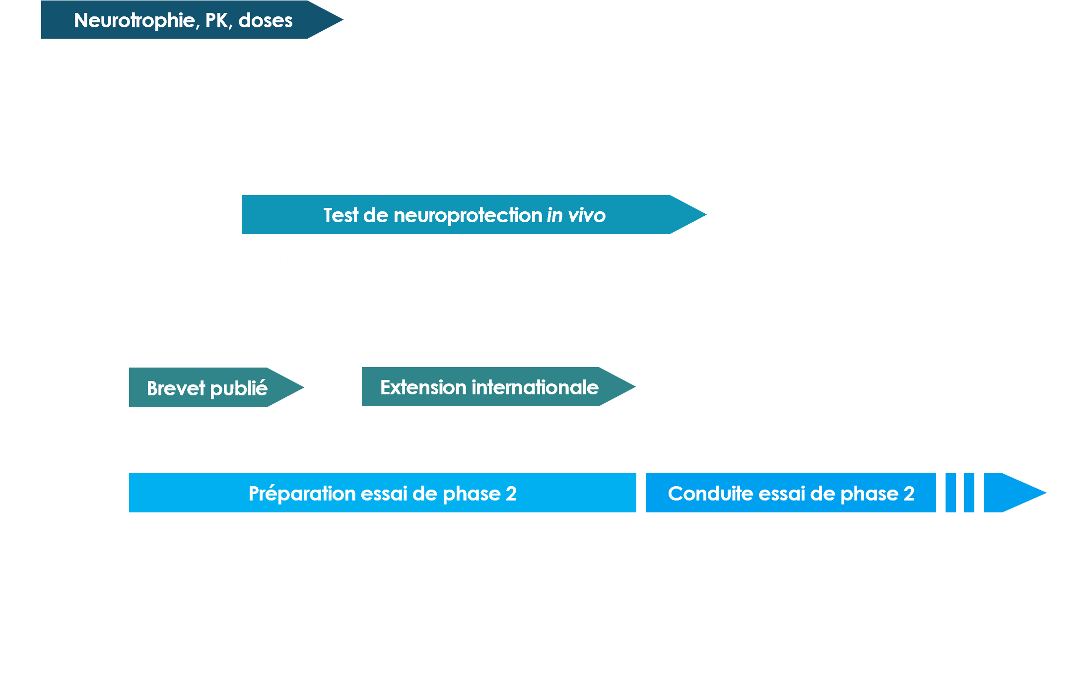 Timeline développement clinique